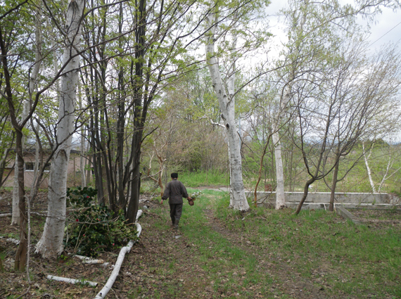 f0161647_8272211.jpg