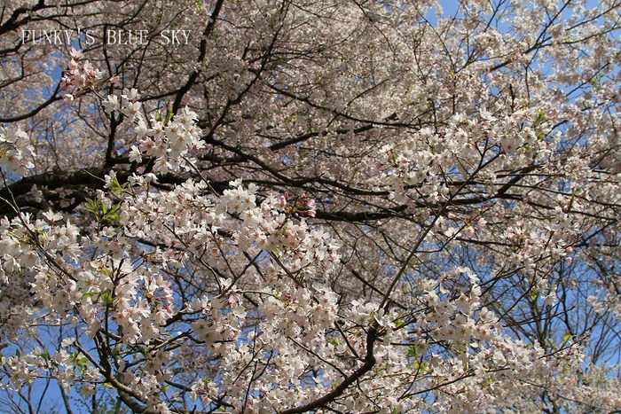 c0145250_10541025.jpg