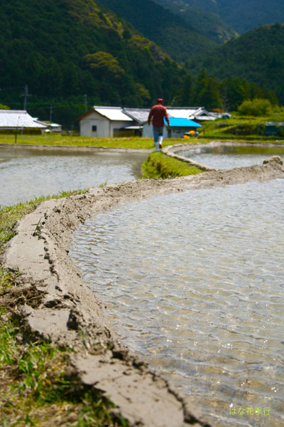 d0036450_14324136.jpg