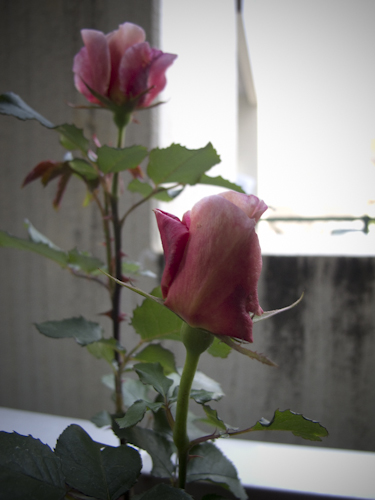 b0158551_22153336.jpg