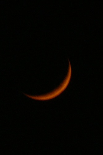 f0050651_21191141.jpg