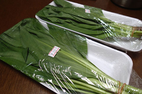 a0083760_22155042.jpg