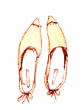 d0252263_12423836.jpg