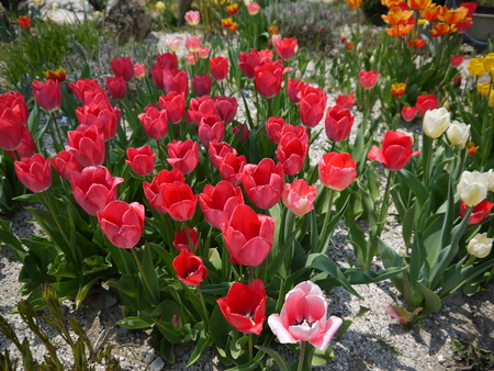 b0084468_23125666.jpg