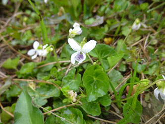 b0057675_13532678.jpg