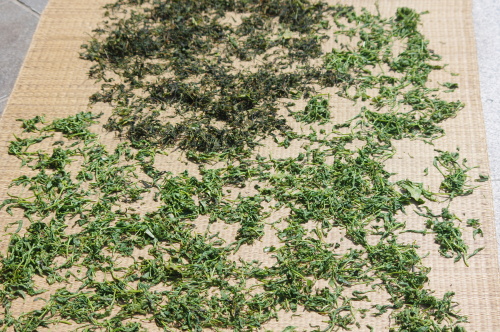 f0054677_07122074.jpg