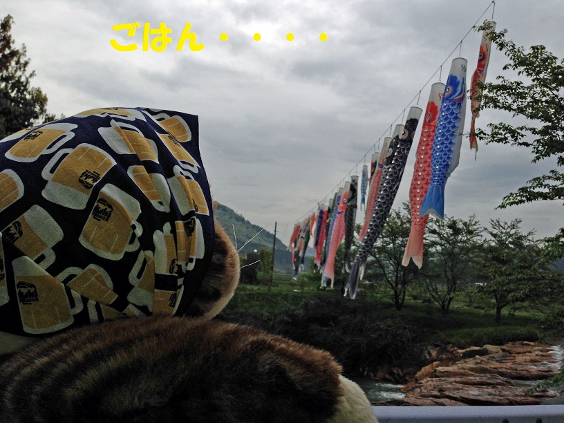 b0059978_1444117.jpg