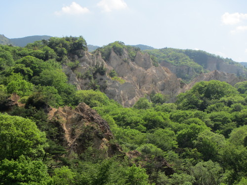 a0251786_22324937.jpg