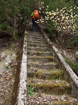 c0118495_232828100.jpg