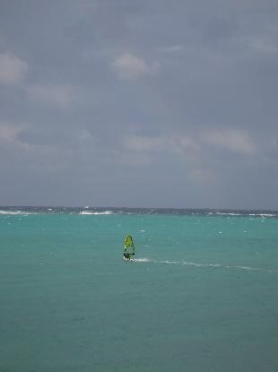 e0077899_2022830.jpg