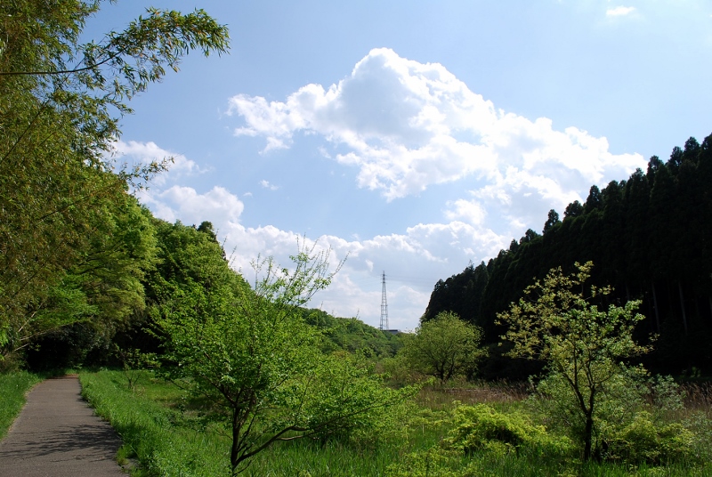 e0025300_17455471.jpg