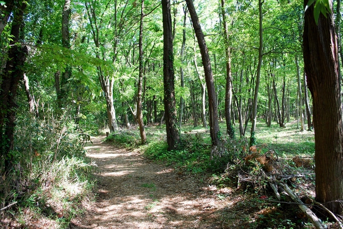 e0025300_175610100.jpg