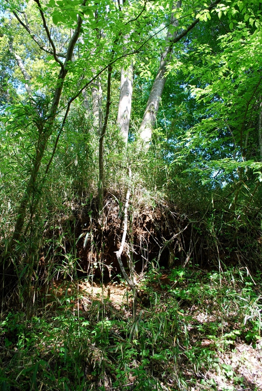 e0025300_17582835.jpg