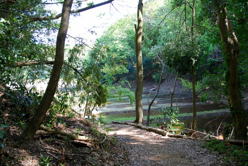 e0025300_17592974.jpg