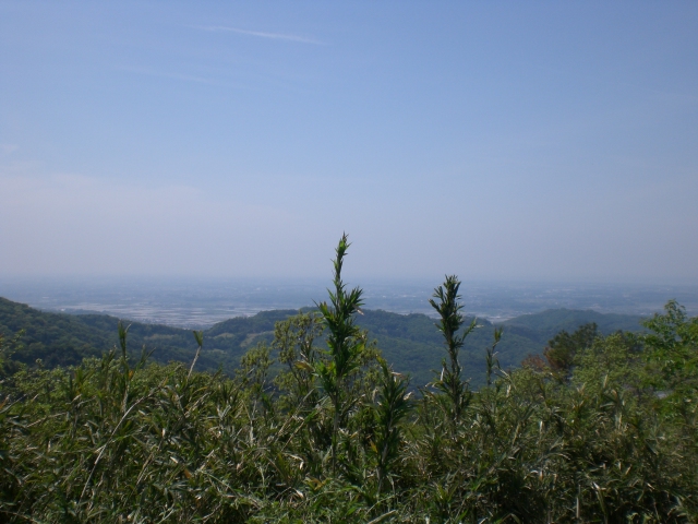 d0171706_175274.jpg