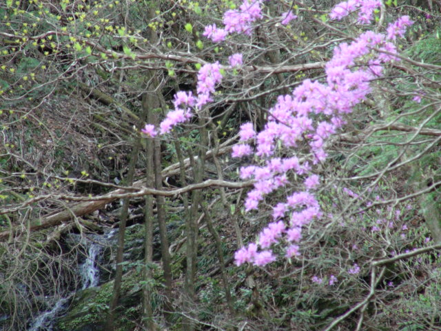 f0231709_8314564.jpg