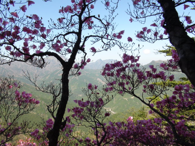 f0231709_8595966.jpg