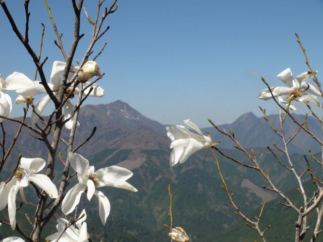 f0231709_913947.jpg