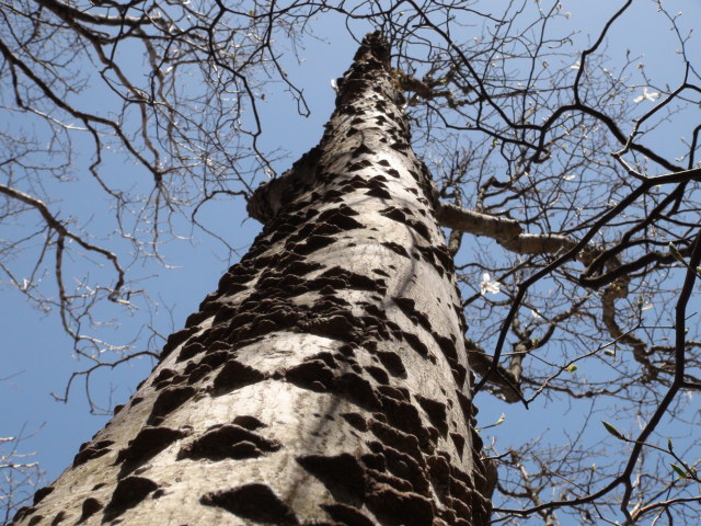 f0231709_9155892.jpg