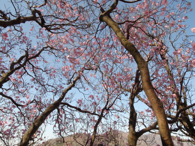 f0231709_983880.jpg