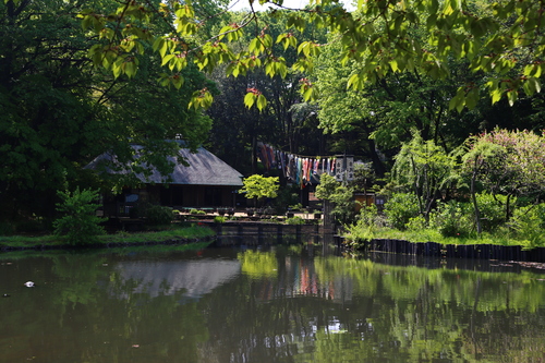 c0186410_21464178.jpg