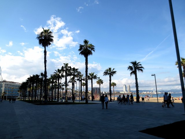 b0064411_05313426.jpg