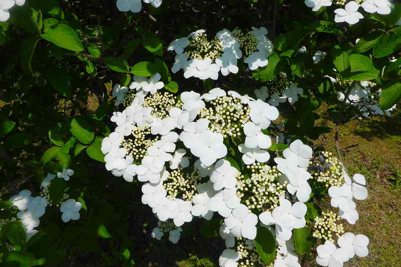 f0182513_22242528.jpg