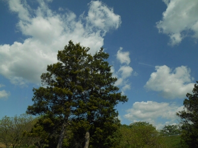 c0317915_11102244.jpg