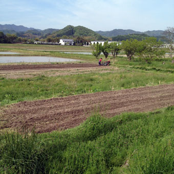 e0015915_17374886.jpg