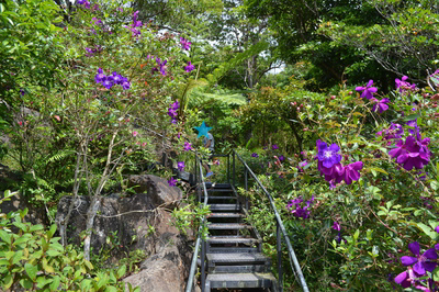 b0121019_23371496.png
