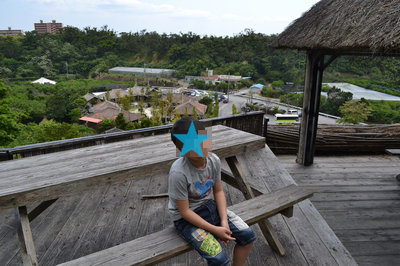 b0121019_23373589.png