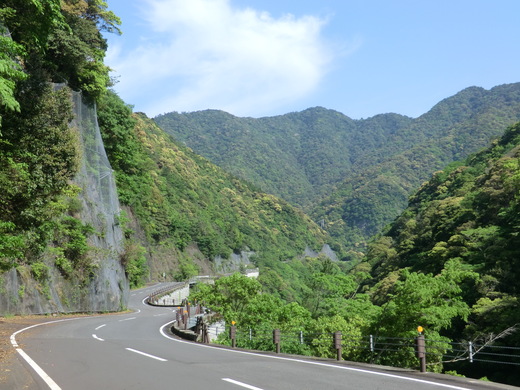 d0221319_914957.jpg