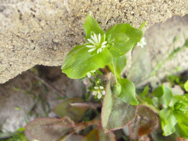 f0228619_20125265.jpg