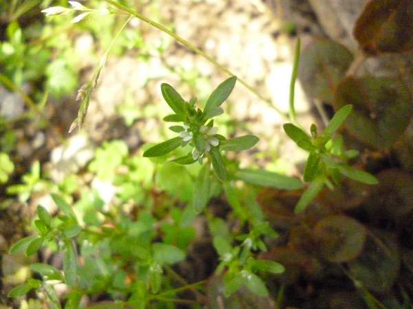 f0228619_20142610.jpg