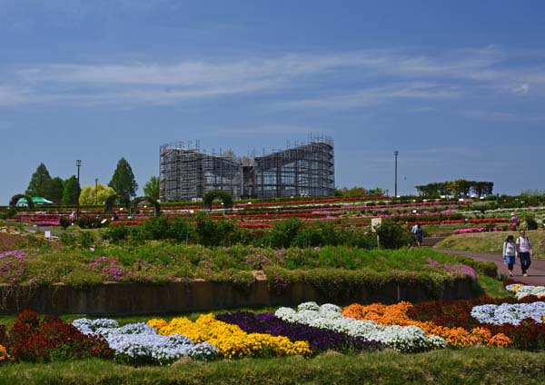 f0147025_21585656.jpg