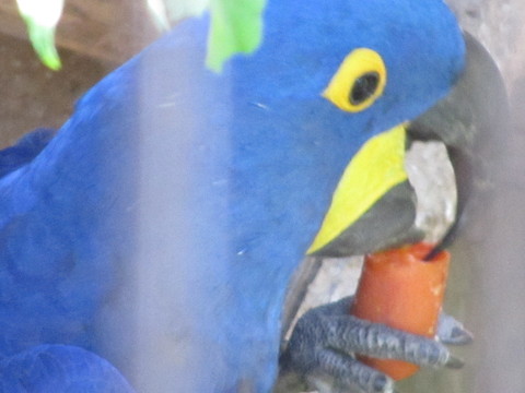 e0107730_21504162.jpg