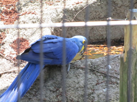 e0107730_21524326.jpg