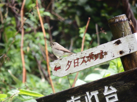 f0118332_0111746.jpg