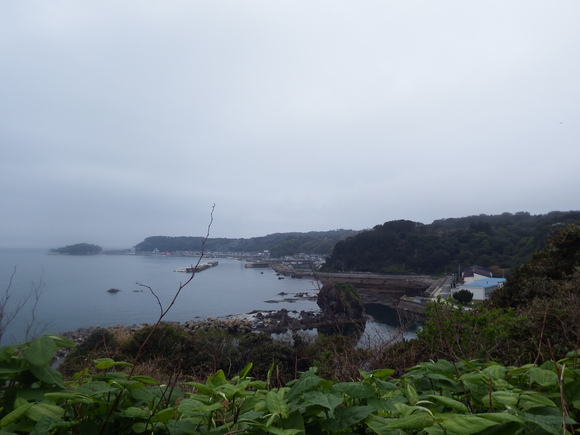 f0118332_0205339.jpg