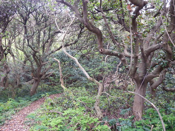 f0118332_15341254.jpg