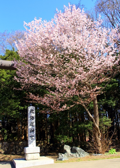 b0321336_00534486.jpg