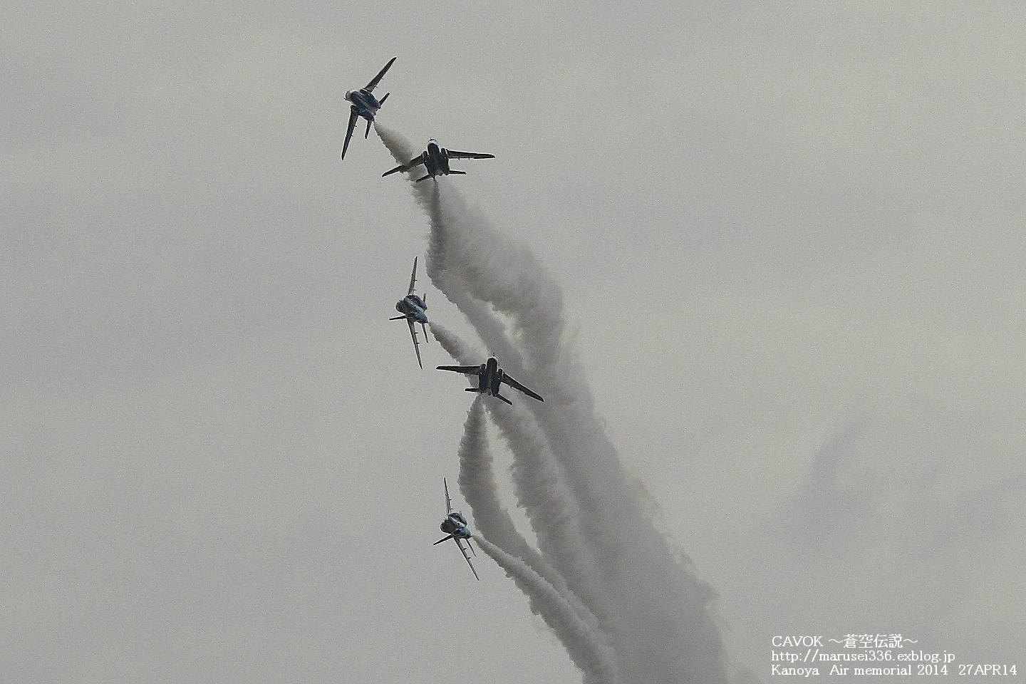 d0193838_8541572.jpg