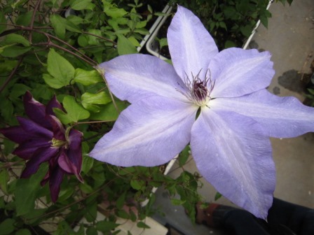 c0025140_1813373.jpg