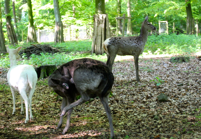 c0153740_1750415.jpg