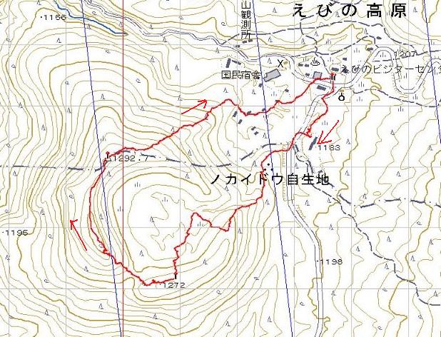 e0164643_23342419.jpg