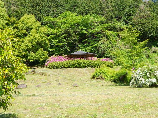 a0206345_20335930.jpg