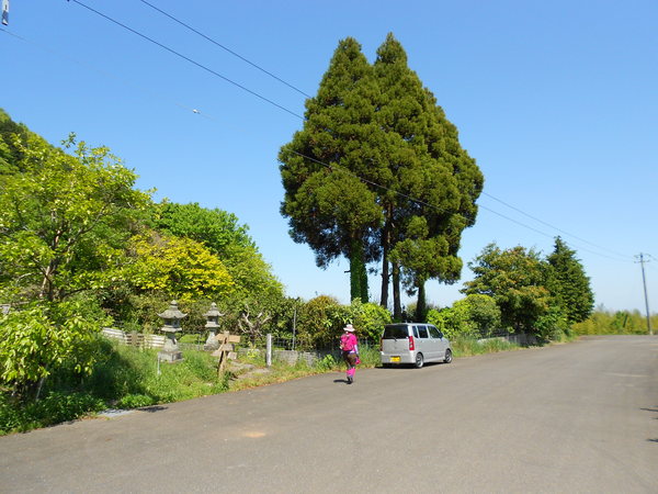 a0206345_203636100.jpg