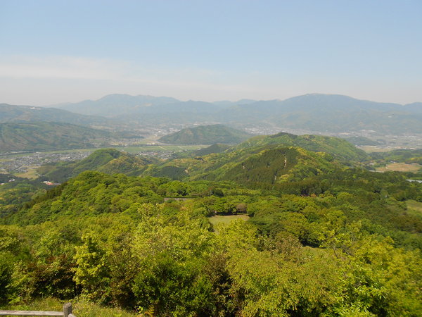 a0206345_2082985.jpg