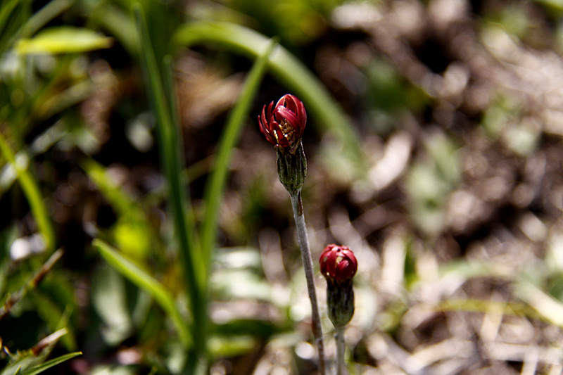 b0016545_813336.jpg