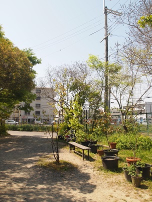 e0214646_13465976.jpg